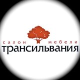 Трансильвания - Danaya logo