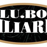 Lu.Bo Biliardi logo